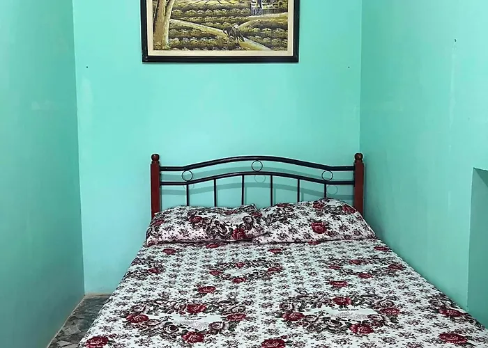 Zia\'S Homestay